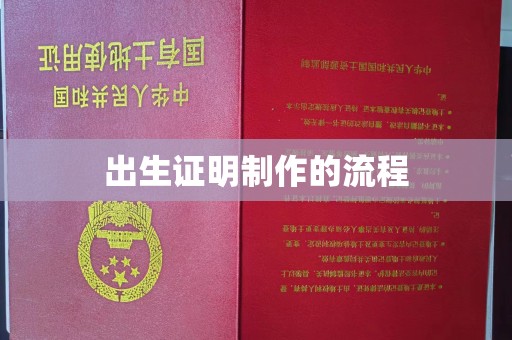 丰城出生证明制作的流程