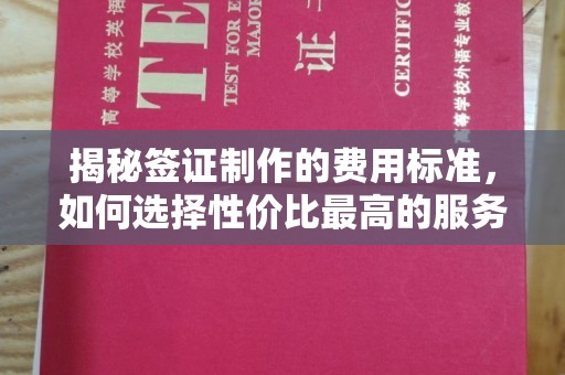 丰城揭秘签证制作的费用标准，如何选择性价比最高的服务？