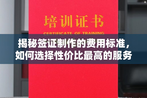 丰城揭秘签证制作的费用标准，如何选择性价比最高的服务？
