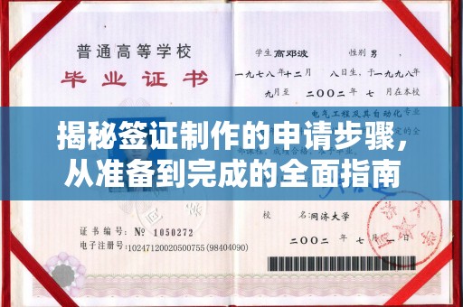 丰城揭秘签证制作的申请步骤，从准备到完成的全面指南