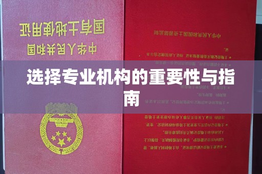丰城选择专业机构的重要性与指南